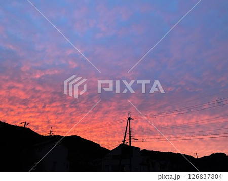 鱗雲が美しい夕焼け 鱗雲が美しい夕焼け 126837804