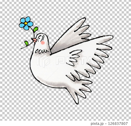 White dove and flowers White dove and flowers 126837807