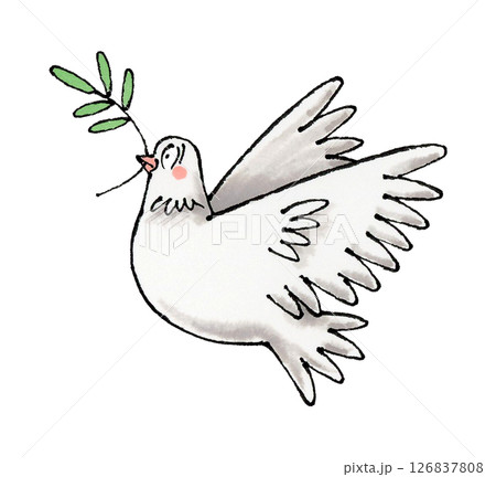 白い鳩とオリーブ 126837808
