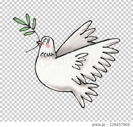 白鴿和橄欖 126837808