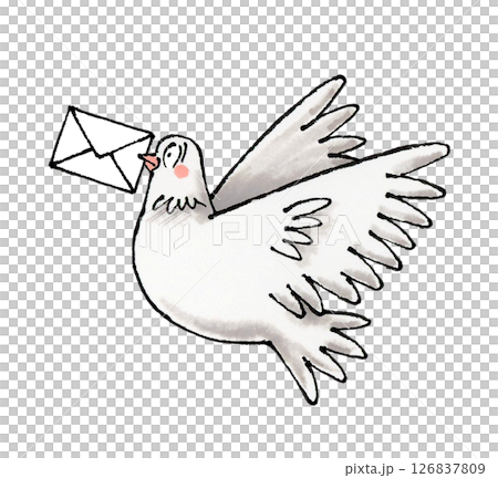 White dove and letter 126837809