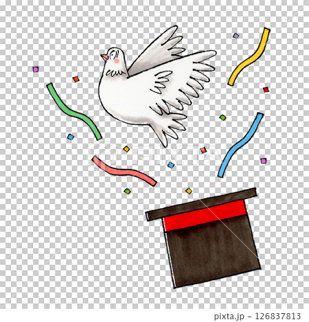 白い鳩と手品 126837813