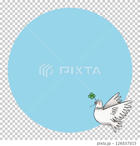 白い鳩 コピースペース 白い鳩 コピースペース 126837815