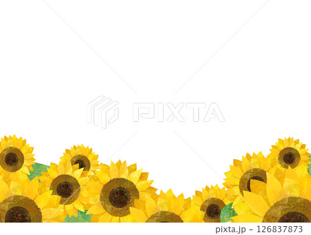 ひまわり畑と入道雲の夏の風景をイメージした背景イラスト ひまわり畑と入道雲の夏の風景をイメージした背景イラスト 126837873