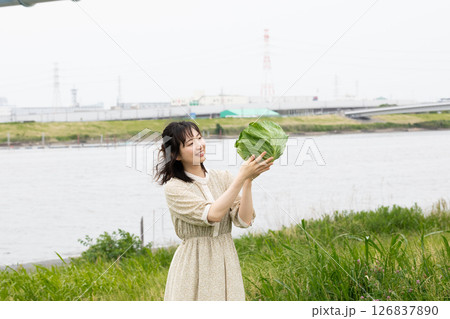 重みもあって、しっかりしたキャベツ 126837890
