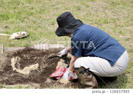 家庭菜園に肥料を撒いて土と混ぜているシニア女性 126837985