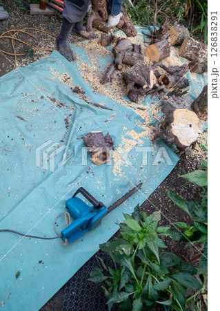 木の幹をチェーンソーで細かく切る 126838291