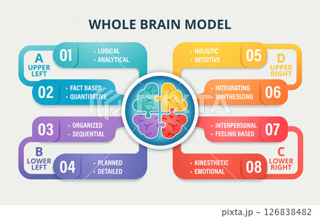 Whole Brain Model infographic showing four thinking quadrants: analytical, sequential, emotional, and holistic. Color-coded brain sections represent cognitive diversity and thinking styles for 126838482