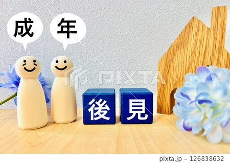 成年後見制度のイメージ 126838632