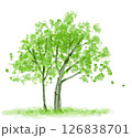 緑の葉が風に揺れる水彩タッチの木のイラスト 126838701