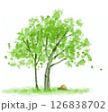 緑の葉が風に揺れる水彩タッチの木のイラスト 126838702