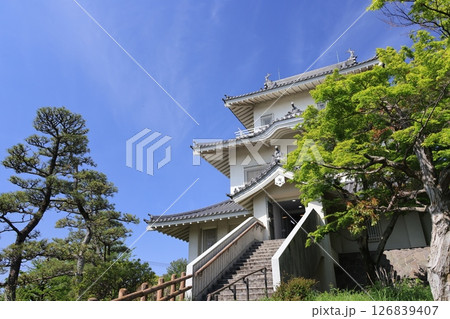 埼玉県加須市の騎西城址の風景 126839407