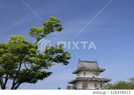 埼玉県加須市の騎西城址の風景 埼玉県加須市の騎西城址の風景 126839411