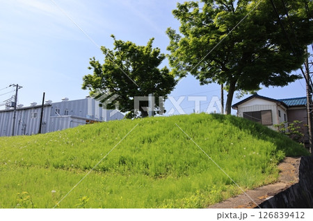 埼玉県加須市騎西の騎西城址の土塁 126839412