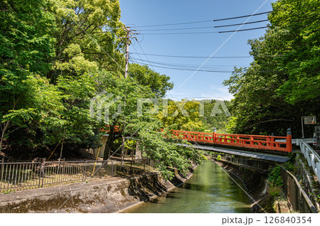 琵琶湖疏水　正嫡橋　京都市 126840354