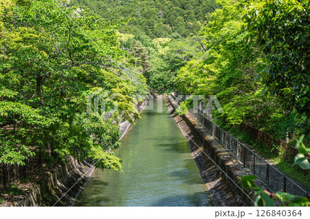 琵琶湖疏水　京都市 126840364