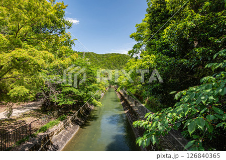 琵琶湖疏水　京都市 126840365