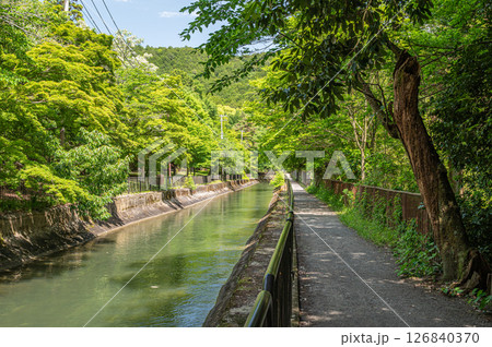 琵琶湖疏水 疏水沿いの遊歩道 京都市 琵琶湖疏水 疏水沿いの遊歩道 京都市 126840370
