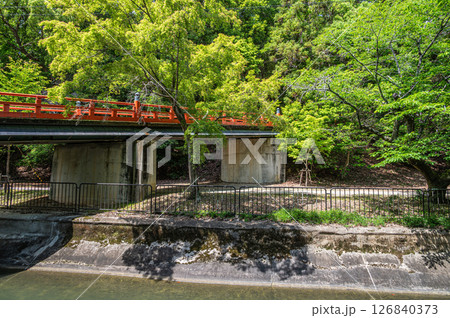 琵琶湖疏水 正嫡橋 本圀寺参道 京都市 琵琶湖疏水 正嫡橋 本圀寺参道 京都市 126840373