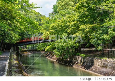 琵琶湖疏水 正嫡橋 本圀寺参道 京都市 琵琶湖疏水 正嫡橋 本圀寺参道 京都市 126840379