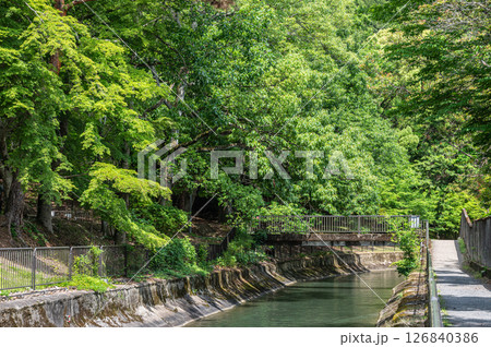 琵琶湖疏水　京都市 126840386