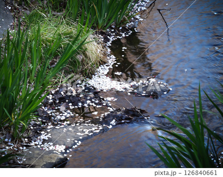川に流れる水 126840661