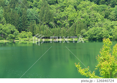 5月の中綱湖 126840724