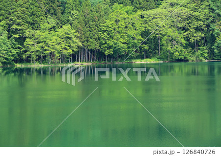 5月の中綱湖 5月の中綱湖 126840726