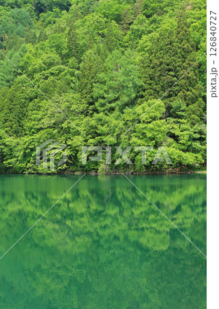 5月の中綱湖 126840727