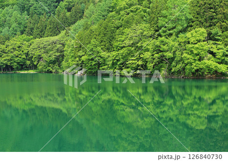5月の中綱湖 5月の中綱湖 126840730