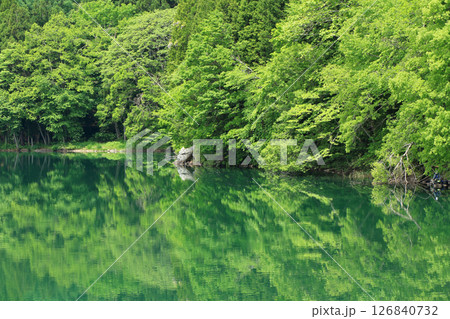 5月の中綱湖 5月の中綱湖 126840732