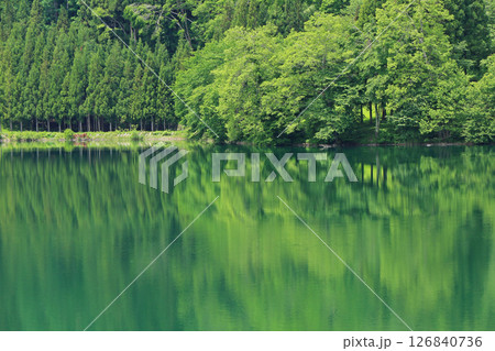 5月の中綱湖 126840736