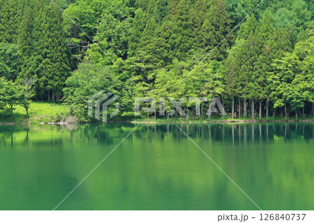 5月の中綱湖 126840737