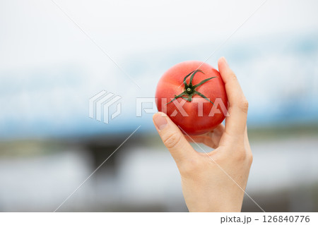 美味しいトマトはこんな感じ 126840776