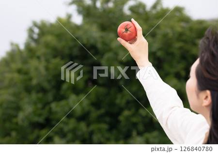 子供がトマトを嫌いと泣いたら 子供がトマトを嫌いと泣いたら 126840780