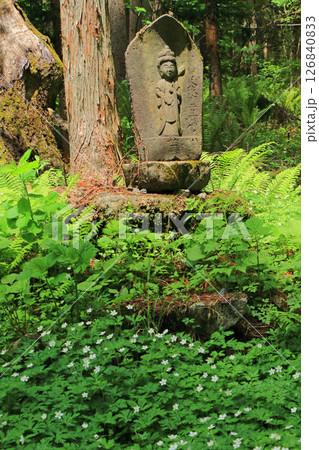 千国街道 青木湖畔の石仏 千国街道 青木湖畔の石仏 126840833