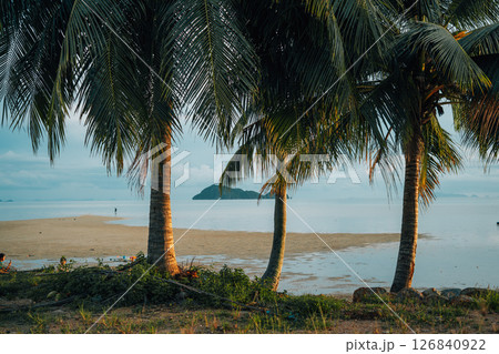 Palm Trees on White Sandy Beach with Island View in Azure Sea 126840922