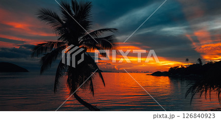 Palm Trees on White Sandy Beach with Island View in Azure Sea Palm Trees on White Sandy Beach with Island View in Azure Sea 126840923