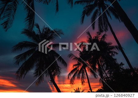 Palm Trees on White Sandy Beach with Island View in Azure Sea 126840927