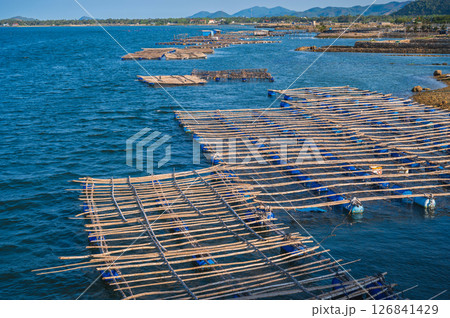 Shrimp and fish farming farm with fishing cages and nets on the water in the sea bay in Vietnam in Asia in summer. Aerial top view from drone 126841429