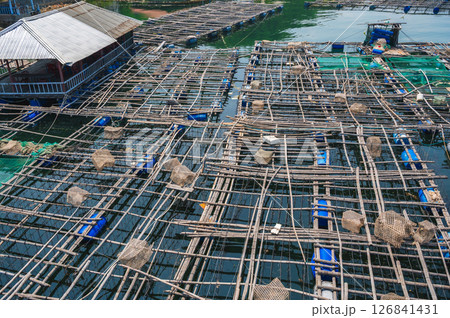 fish farm with fishing cages on water in a sea bay in Vietnam in Asia in summer 126841431
