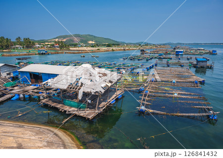 fish farm with fishing cages on water in a sea bay in Vietnam in Asia in summer 126841432