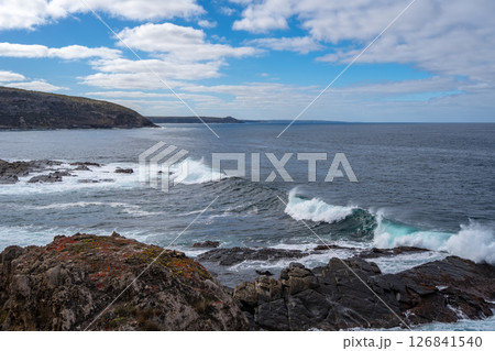Rocky coastline seen from Cape Du Couedic, Flinders Chase, Kangaroo Island, Australia Rocky coastline seen from Cape Du Couedic, Flinders Chase, Kangaroo Island, Australia 126841540