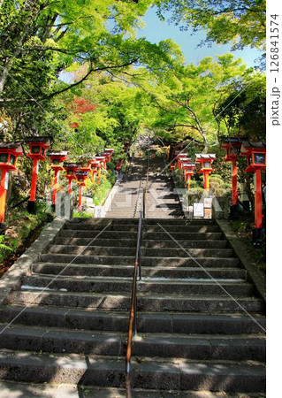 宇宙エネルギーが降注ぎ京の都の鬼門を護る… 鞍馬寺『参道』 126841574