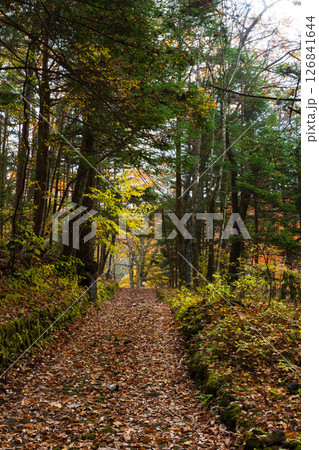 秋の信州 紅葉の長野県軽井沢町 ハッピーバレー 秋の信州 紅葉の長野県軽井沢町 ハッピーバレー 126841644