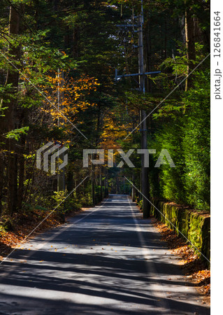 秋の信州 紅葉の長野県軽井沢町 秋の信州 紅葉の長野県軽井沢町 126841664