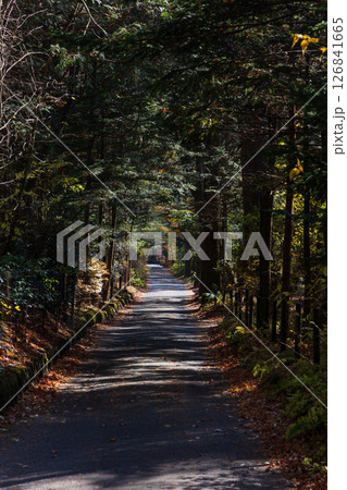 秋の信州　紅葉の長野県軽井沢町 126841665