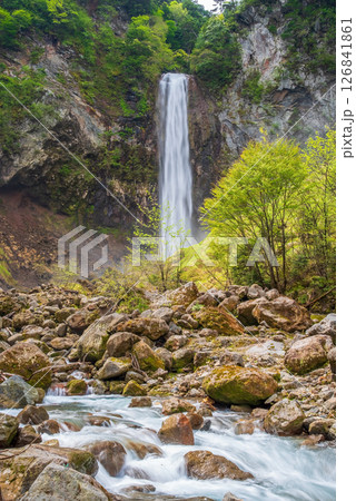 新緑シーズンの平湯大滝【奥飛騨温泉郷・平湯温泉・高山市】 新緑シーズンの平湯大滝【奥飛騨温泉郷・平湯温泉・高山市】 126841861