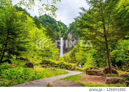 新緑シーズンの平湯大滝【奥飛騨温泉郷・平湯温泉・高山市】 126841892
