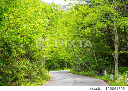 平湯大滝への進入路【奥飛騨温泉郷・平湯温泉・高山市】 126841896
